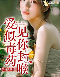 沈若陆星延