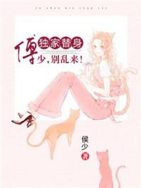 大宋一把刀