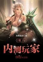 强迫暂停记忆的小说