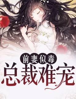 沈知初厉景深免费阅读