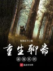 陆聿风楚琪琪微微小说